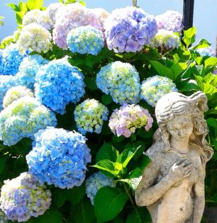 Private Ferienwohnung Ischia Italien Top Lage