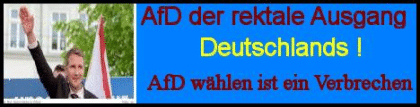 AFD Schwarzbuch - AfD wählen ist ein Verbrechen