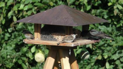 Luxus-Vogelhaus, Silo-Vogel-Fütterung, Vogel-Fütterung, Futter-Häuschen, 