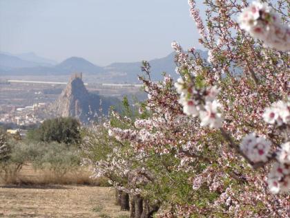 Finca in Sax bei Alicante in Spanien