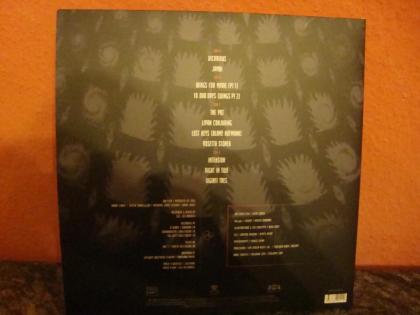 Tool - 10 000 Days 2LP