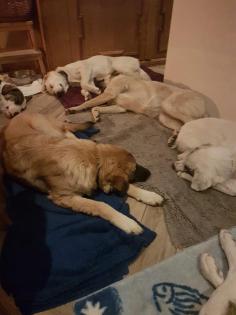 Baolou ein ruhiger Zeitgenosse