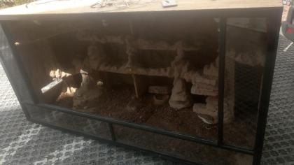 Großes Wüstenterrarium komplett bezugsfertig