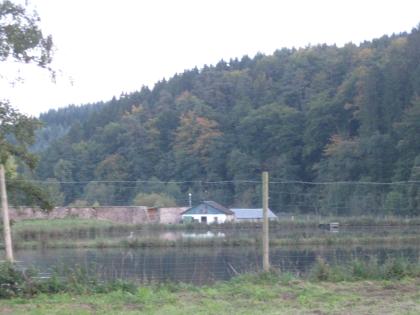 Hundefreundliches Ferienhaus Salmtal zu Füssen der Abtei Himmerod für nur 40 Eur