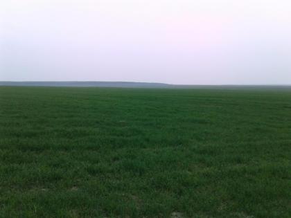 Ukraine, Bauernhöfe ab 100 ha, Oblast Zhytomir, Region Nowograd Wolynski