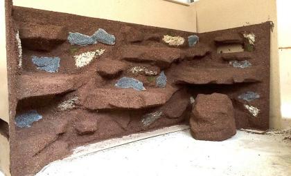 Terrarium - Landschaften für den Selbsteinbau