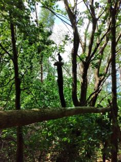 Lust auf was Neues ? 