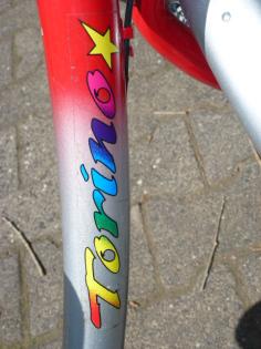 (134) 3 Gang Rücktrittsbremse TORINO tiefer EINSTIEG Rh 30