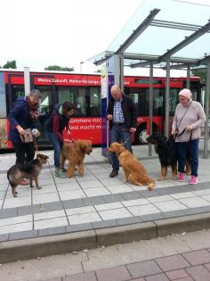 Hundeschule Axstedt -Trainingszentrum für Hund & Halter in Niedersachsen