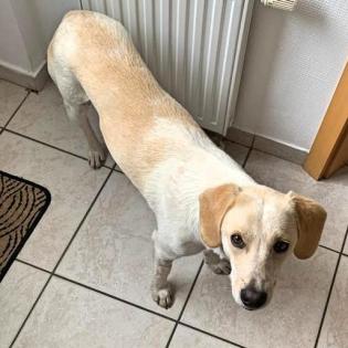 Candy - hat ihre Schwester verloren