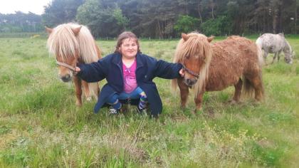 Aus Hobby Zucht mehrere Geritten und gefahrene Shetty's und Pony's zu Verkaufen