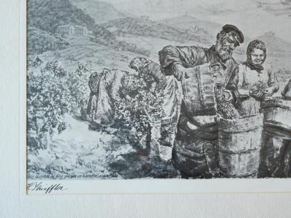 Strieffler Heinrich Beerenauslese Grafik. B074