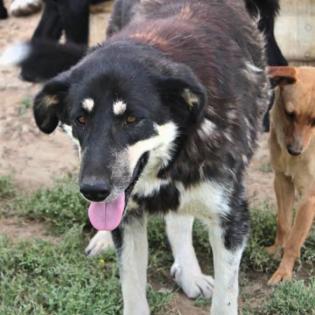 Zumby - benötigt nach einen Unfall Physiotherapie für den Rücken