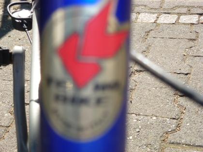 (103) 7 Gang Rücktrittsbremse 24 Zoll TECHNO-BIKE Made in Italia