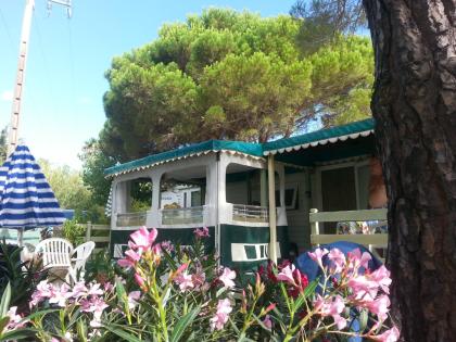 St tropez und Frejus gleich am Mittelmeer camping