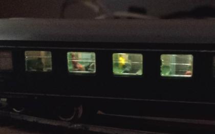 Ausstattung Ihrer Waggons mit Beleuchtung und Fahrgästen (Spur TT)