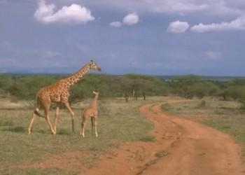 Investor / stiller Partner für Immobilienprojekt im südlichen Afrika gesucht