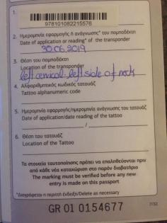 Baolou ein ruhiger Zeitgenosse