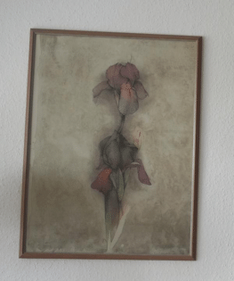 4 Bilder von Bruno Bruni Originallithografie mit Rahmen ca. 62, 5 x 82 cm.