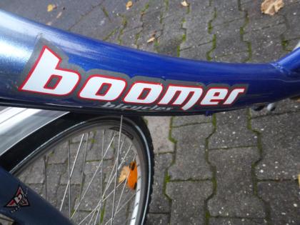 (40) 7 Gng Rücktrittsbremse 26 Zoll Rh 43 mit Nabendynamo Aluminium Rahmen