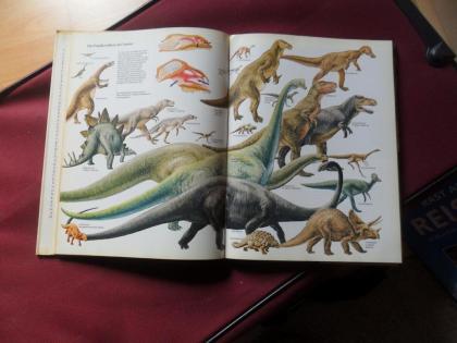 Bildband Adam und Eva