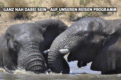 Traumziel Südafrika? Individuelle Selbstfahrer Reisen oder von uns betreute Klei