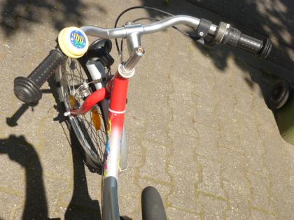 (140) 3 Gang Rücktrittsbremse tiefer Einstieg TORINO 20 Zoll Rh 30