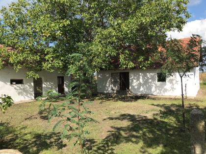  In Ungarn am Pusztaszer ist ein gepflegtes,ruhiges Bauernhaus mit 5755 m2 Grund