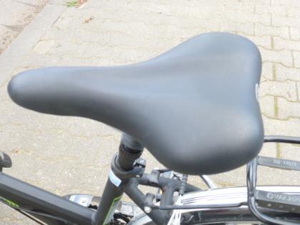 (218) 21 Gang 28 Zoll Rh 47 Gabel u Sattel gefedert