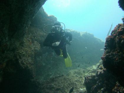 Tauchen auf Teneriffa mit Ocean Trek,  Playa Americas