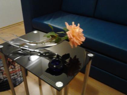 Ferienwohnung A3***