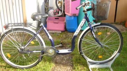 (139) 3 Gang Rücktrittsbremse 28 Zoll tiefer Einstieg Korb am Lenker