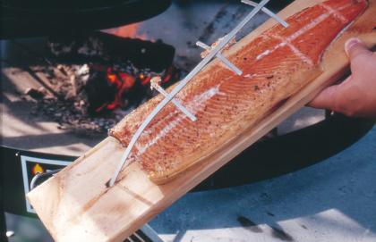 Grillanlagen, nordische Grillkota NH 6,9  NH 9,2  NH 16,5 , für Grillkota Grillp