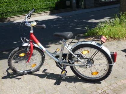 (134) 3 Gang Rücktrittsbremse TORINO tiefer EINSTIEG Rh 30