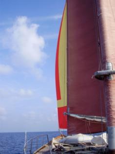 Segeln für Individualistinnen und Individualisten