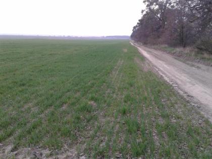 Ukraine, Bauernhöfe ab 100 ha, Oblast Zhytomir, Region Nowograd Wolynski