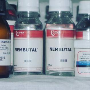 Nembutal, Nembutal online (50 gramm, 100ml, oder 50 Pillen) kaufen