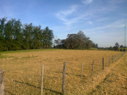 3 ha Grundstück Kolonie Independencia Paraguay