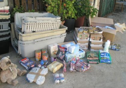 Hundetransportboxen als Spenden gesucht!