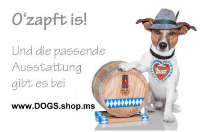 Reise-Hundedecke SCHATZL blau-weiss