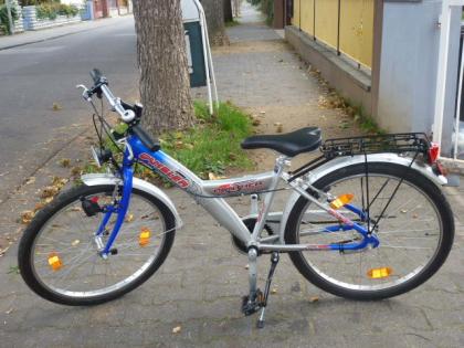 (56) 3 Gang Rücktrittsbremse u 2 Felgenbremsen 24 Zoll Rh 38 PANTHER