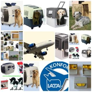 Alles für den Flugtransport für Hunde und Katzen im Flugzeug