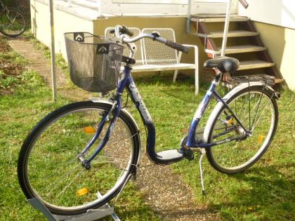 (139) 3 Gang Rücktrittsbremse 28 Zoll tiefer Einstieg Korb am Lenker