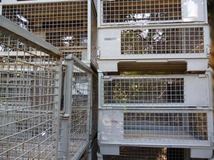 Gitterboxen: EURO, DB, Stahlboxen, Gitterboxpaletten - An- / Verkauf