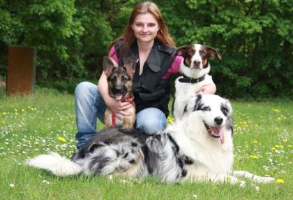 Hundetraining, einzel und gruppenunterricht,welenstunde,sozialisierung,themenabe