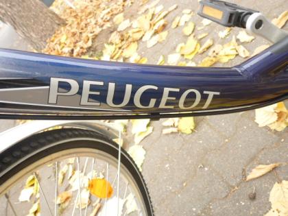 (11) 7 Gang Rücktrittsbremse 28 Zoll Rh 49 Gabel und Sattel gefedert Alu Rahmen