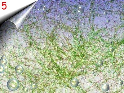 Laser Lace - Nagel Netz um 2, 40€