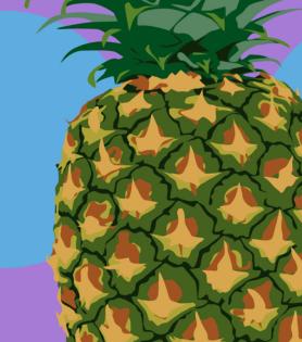PopArt Illustration by Misaku - 