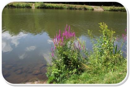 Gratis Grußkartenversand, E-Cards, Schreiben Sie doch mal wieder...