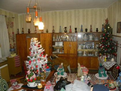  In Ungarn am Csikéria ein 130 m2 Bauernhaus mit 4300 m2 Grundstück ist zu verka